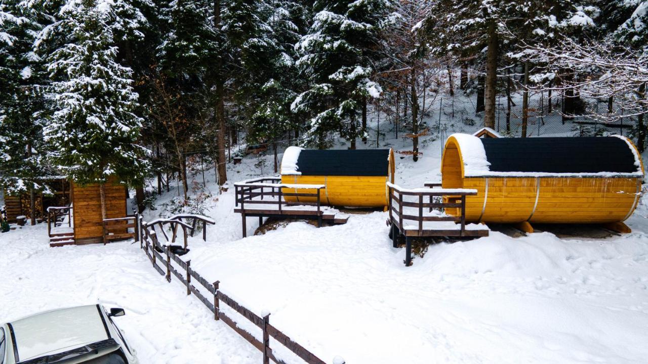 Campsite Beczki Pod Lasem Trzemesnia