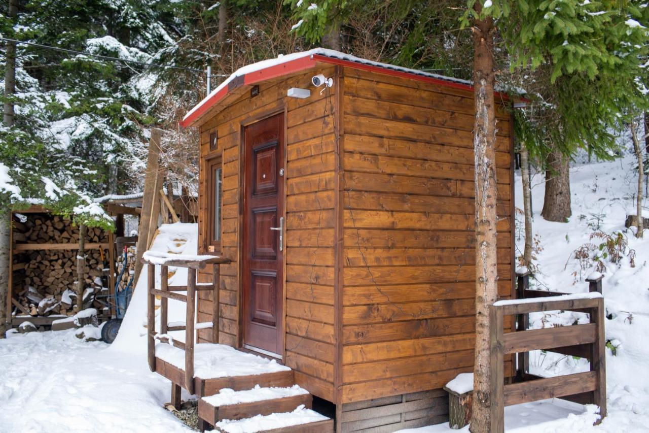 Beczki Pod Lasem